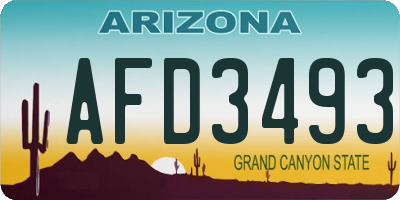 AZ license plate AFD3493