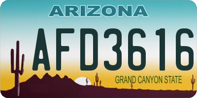AZ license plate AFD3616