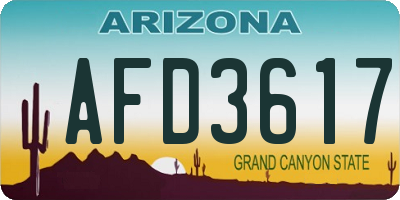 AZ license plate AFD3617