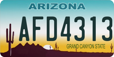 AZ license plate AFD4313