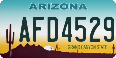 AZ license plate AFD4529