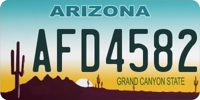 AZ license plate AFD4582