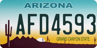 AZ license plate AFD4593