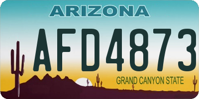 AZ license plate AFD4873