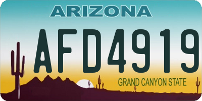 AZ license plate AFD4919