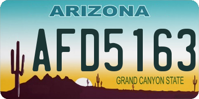 AZ license plate AFD5163