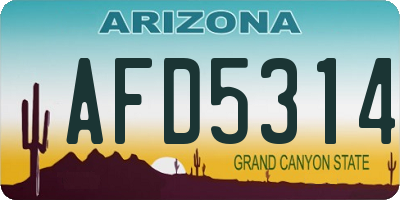 AZ license plate AFD5314