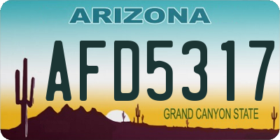 AZ license plate AFD5317