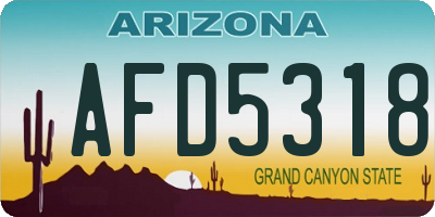 AZ license plate AFD5318