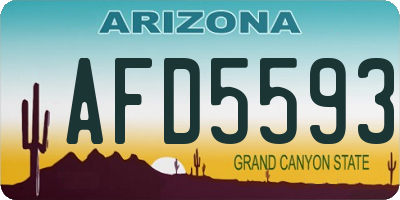 AZ license plate AFD5593