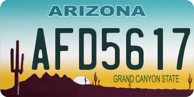 AZ license plate AFD5617