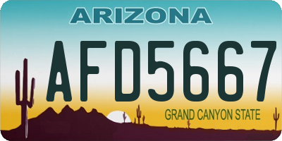 AZ license plate AFD5667