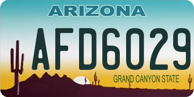 AZ license plate AFD6029