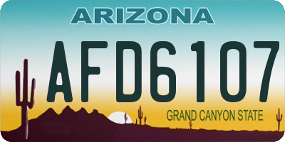 AZ license plate AFD6107