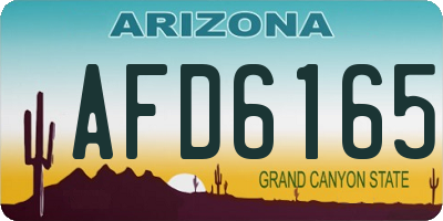 AZ license plate AFD6165
