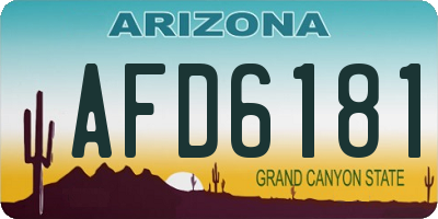 AZ license plate AFD6181