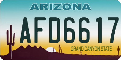 AZ license plate AFD6617