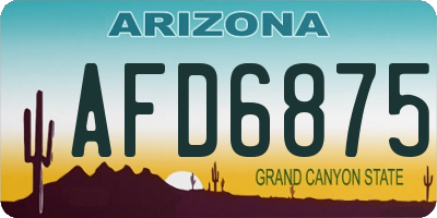 AZ license plate AFD6875