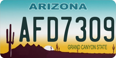 AZ license plate AFD7309