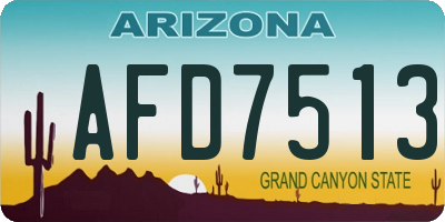 AZ license plate AFD7513