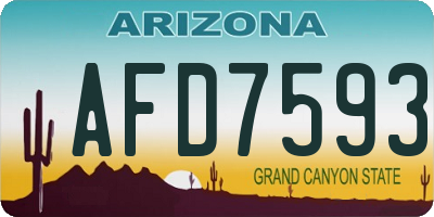 AZ license plate AFD7593