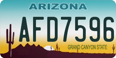 AZ license plate AFD7596