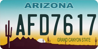 AZ license plate AFD7617