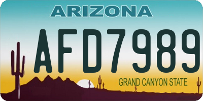 AZ license plate AFD7989
