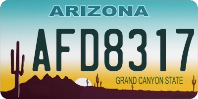 AZ license plate AFD8317