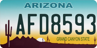 AZ license plate AFD8593