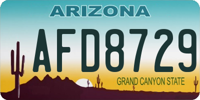 AZ license plate AFD8729
