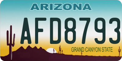 AZ license plate AFD8793
