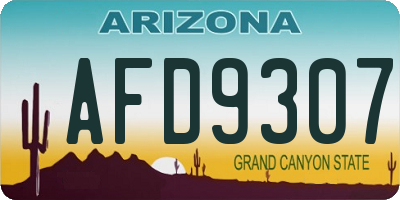 AZ license plate AFD9307
