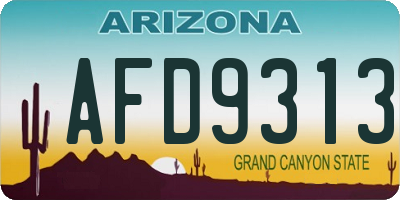 AZ license plate AFD9313