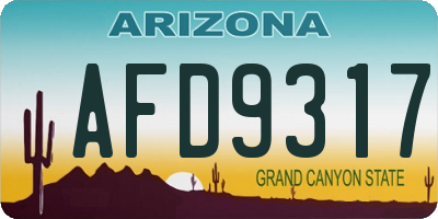 AZ license plate AFD9317