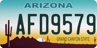 AZ license plate AFD9579