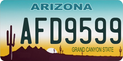 AZ license plate AFD9599