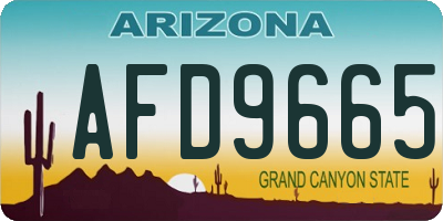 AZ license plate AFD9665