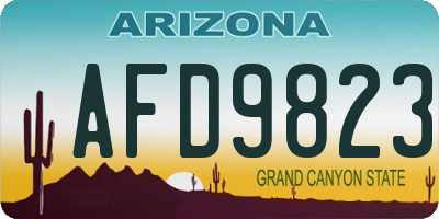 AZ license plate AFD9823