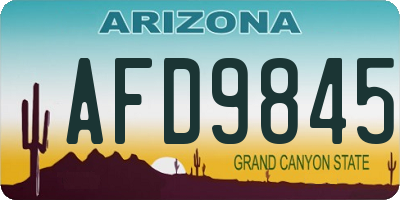 AZ license plate AFD9845