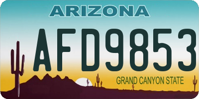 AZ license plate AFD9853