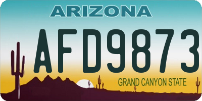 AZ license plate AFD9873