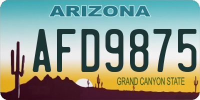 AZ license plate AFD9875