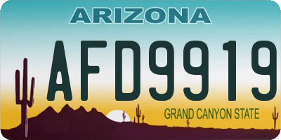 AZ license plate AFD9919