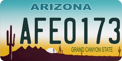 AZ license plate AFE0173