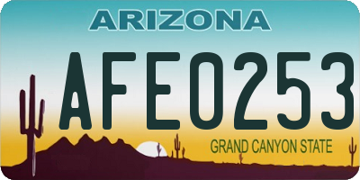 AZ license plate AFE0253