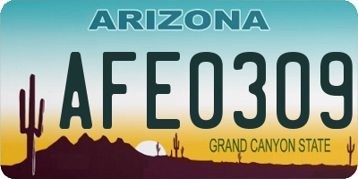 AZ license plate AFE0309