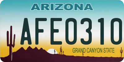 AZ license plate AFE0310
