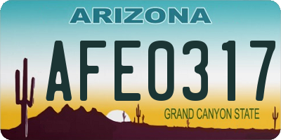 AZ license plate AFE0317