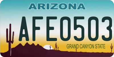 AZ license plate AFE0503